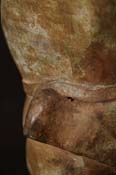 DSC05556