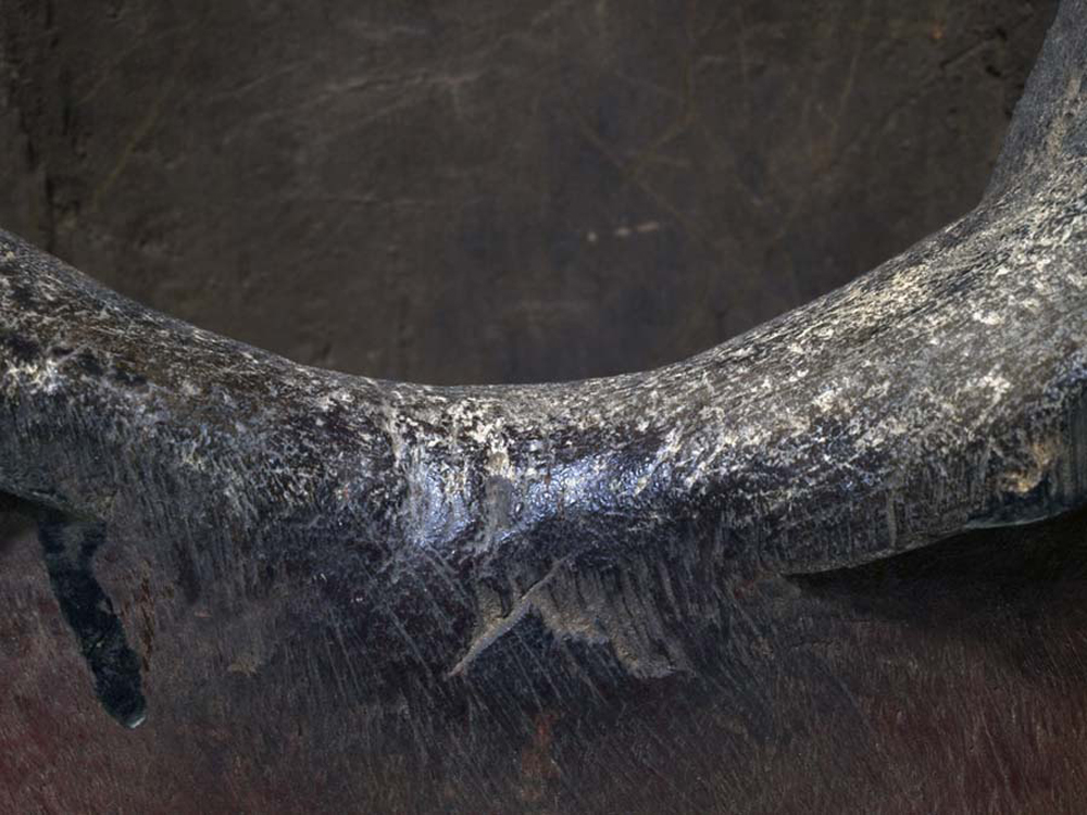 P1245470