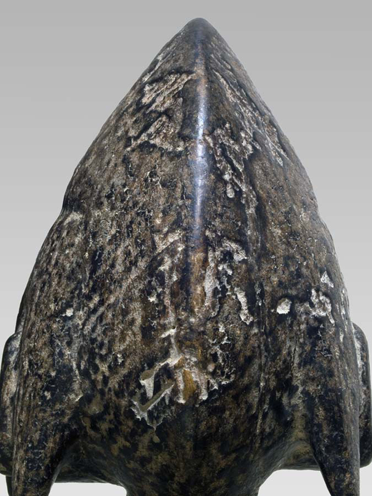 P1256403