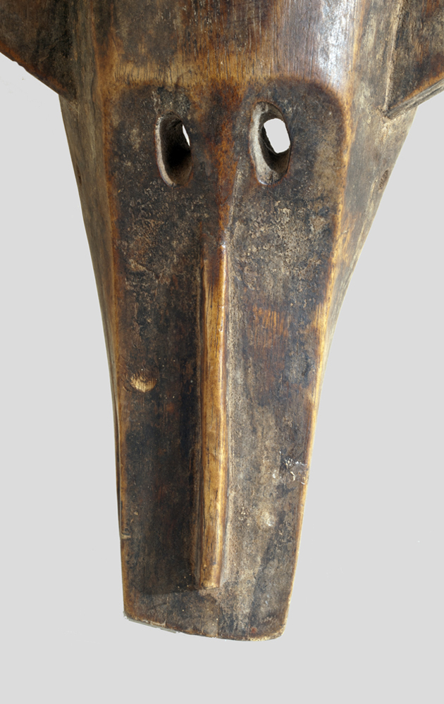 P8314869