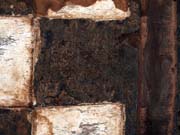 P8025834