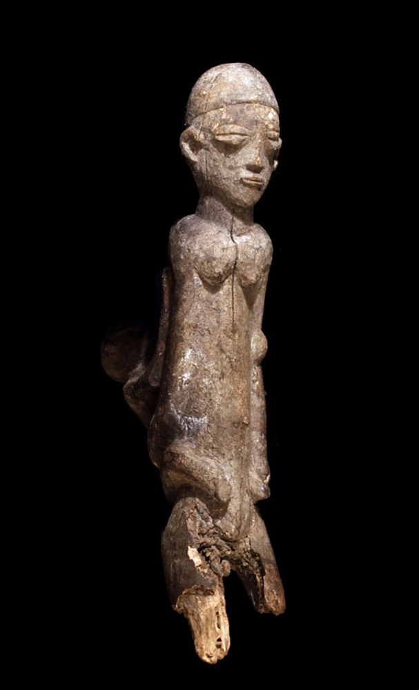 P3199619