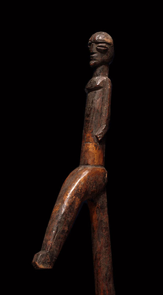 P6198436