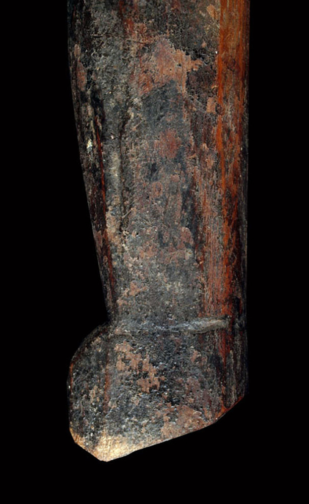 P6198461
