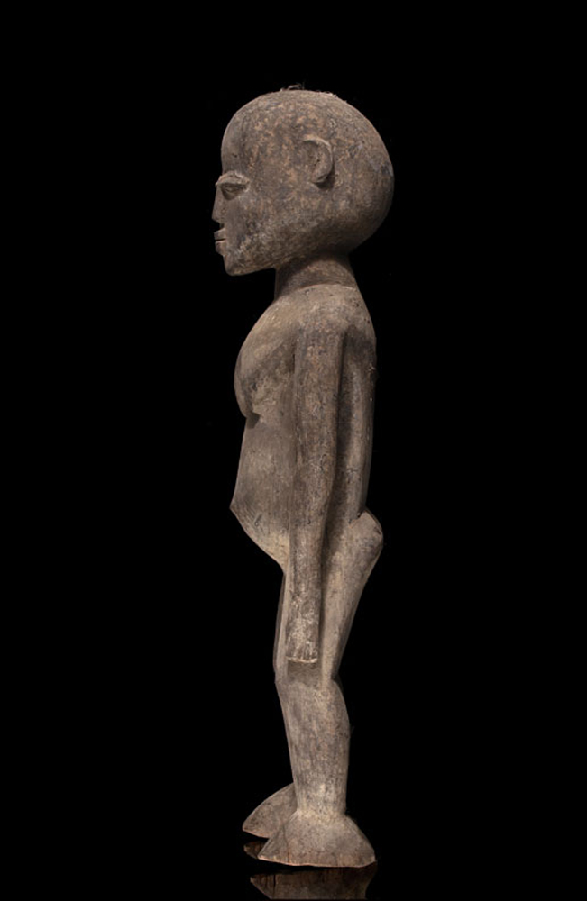 P4209209