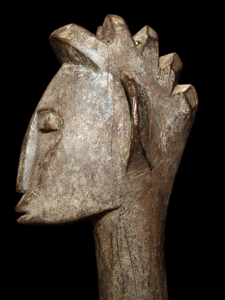 P7093709