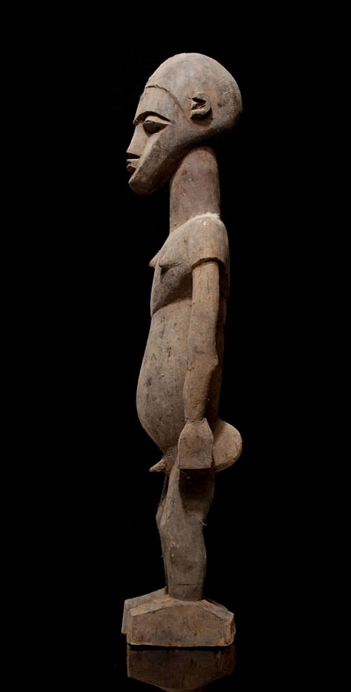 P8298492