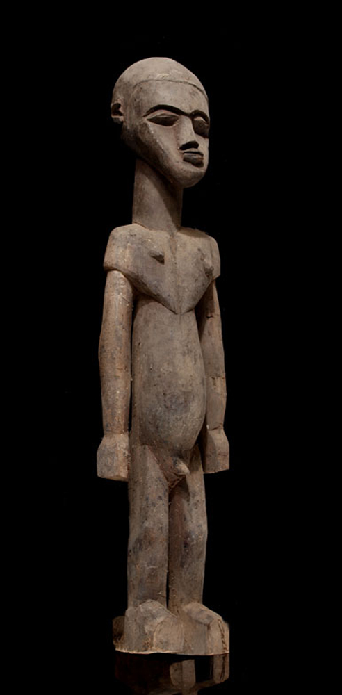 P8298495