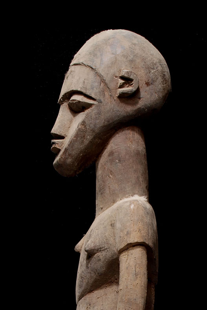 P8298502