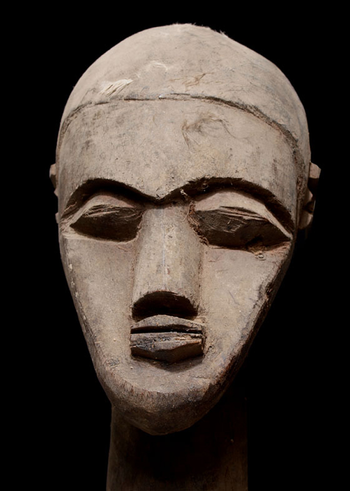 P8298509