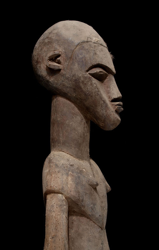 P8298519