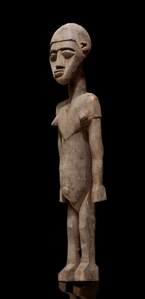 P8298525