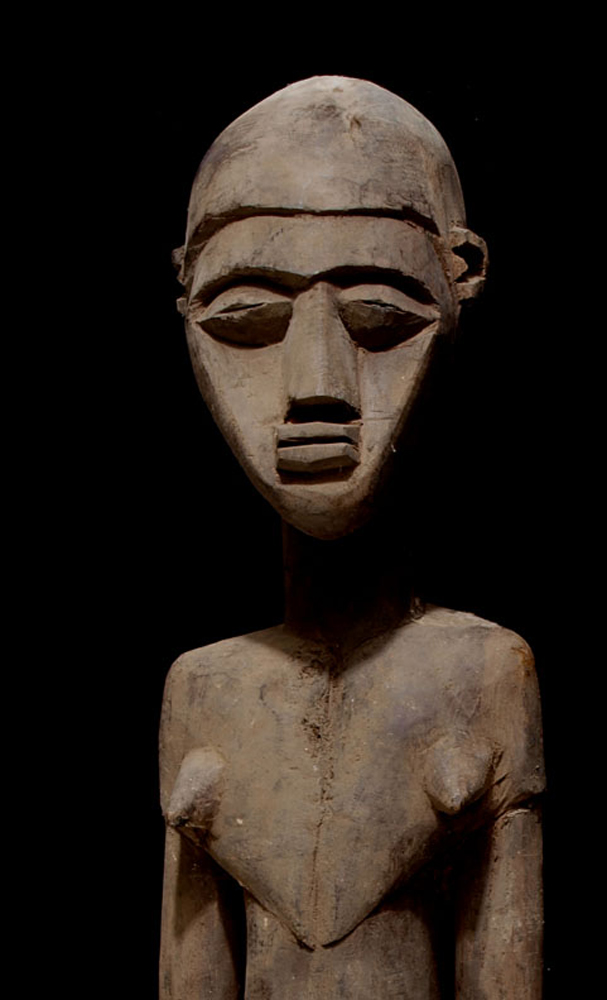P8298538
