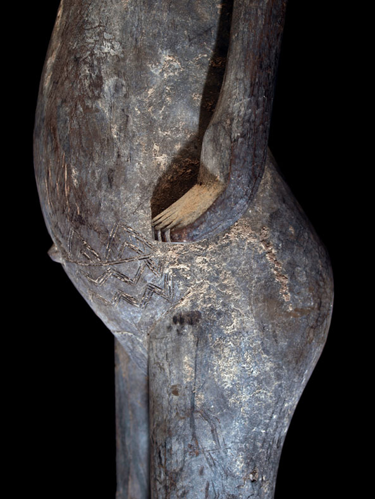 PB015815