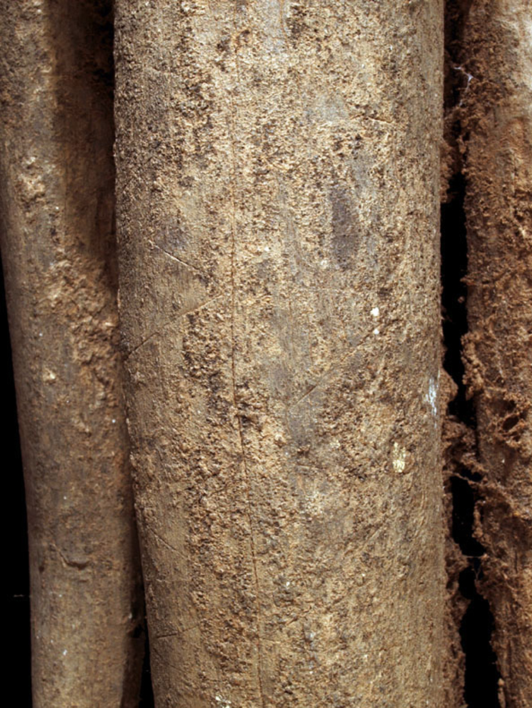 P1183065