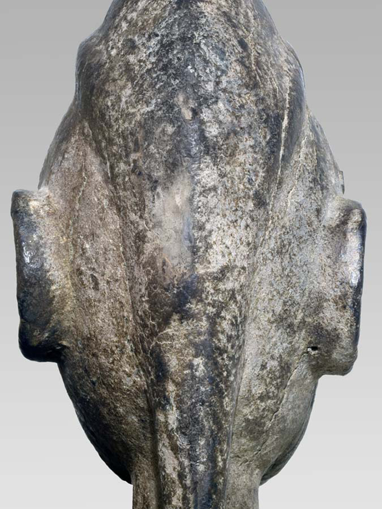 P1308154