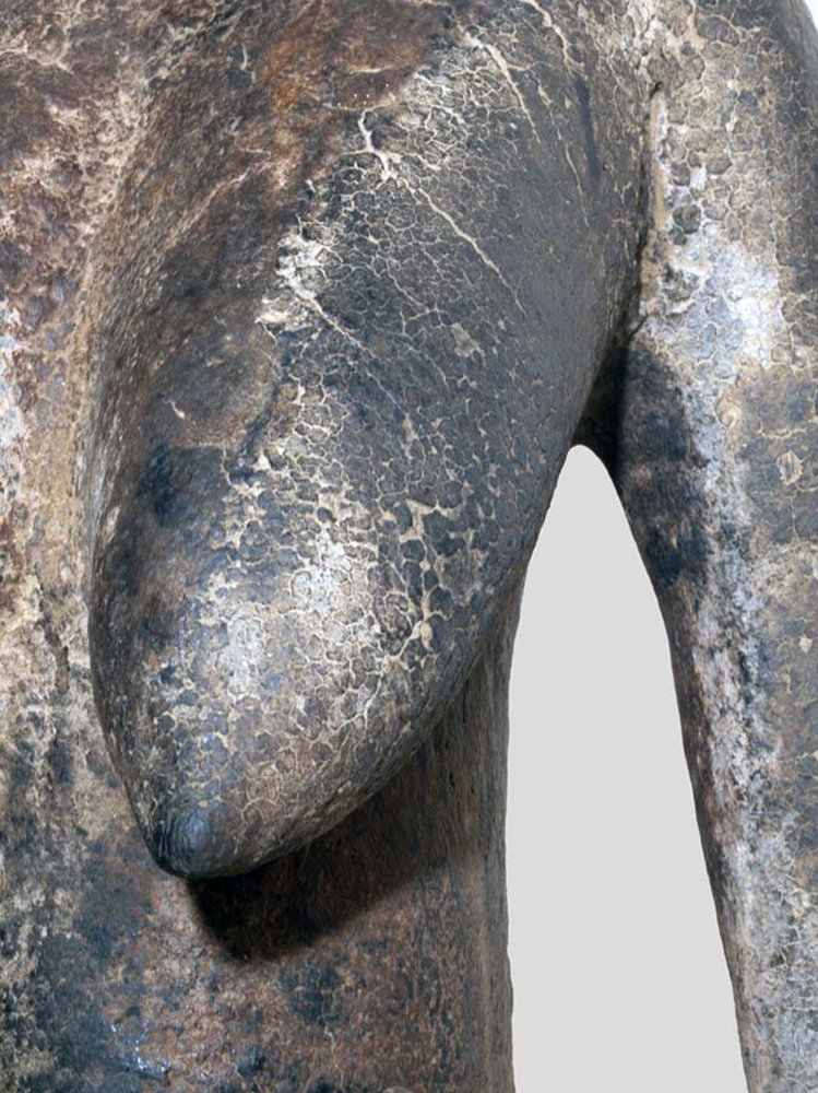 P1308161