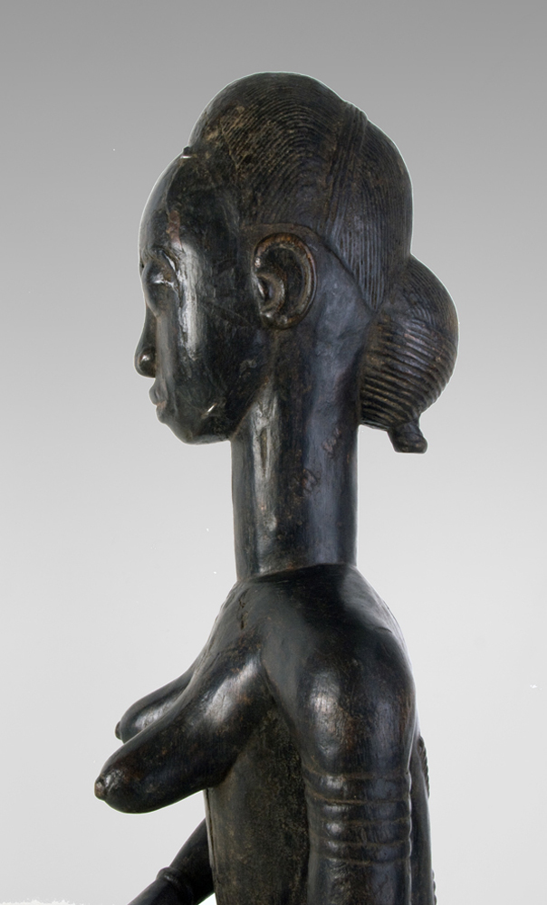 P2299519