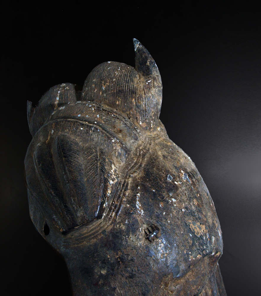 P3019651