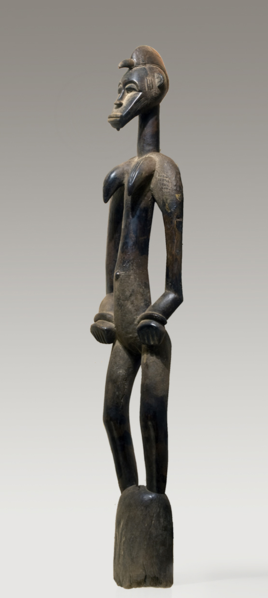 P5109291