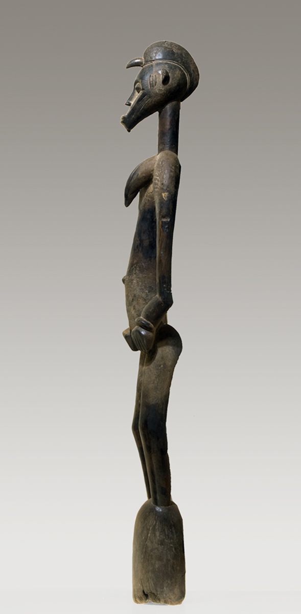 P5109293