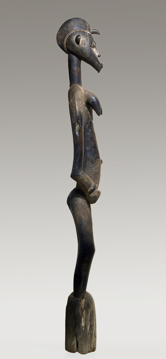 P5109296