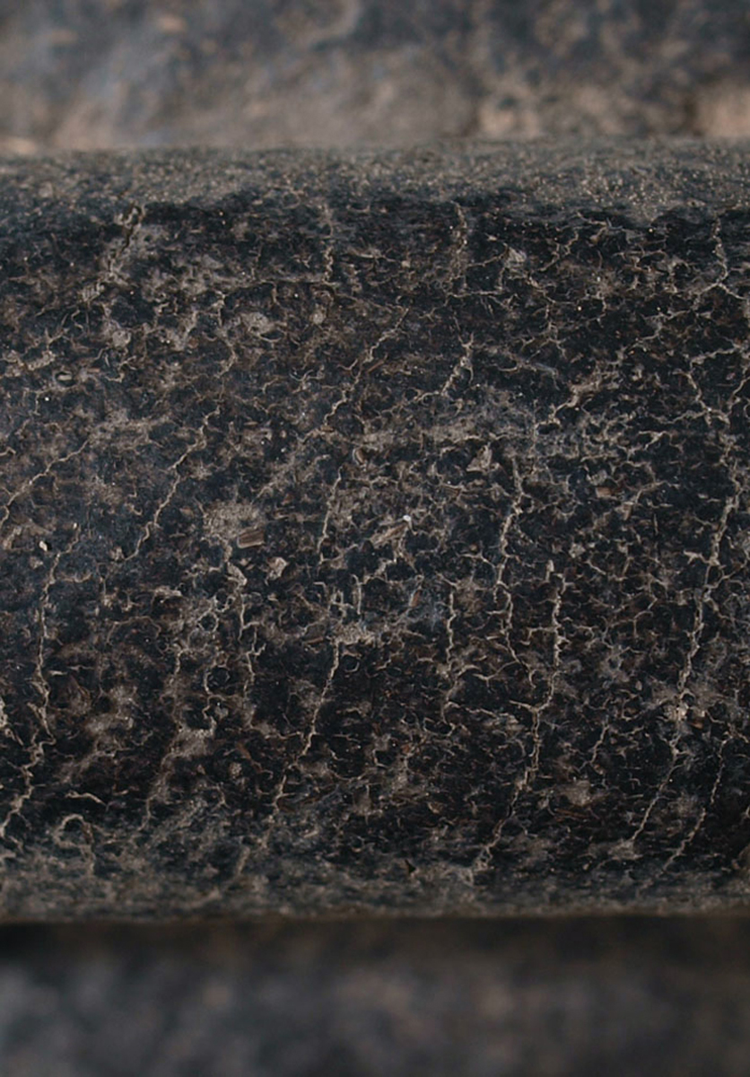 P6027908