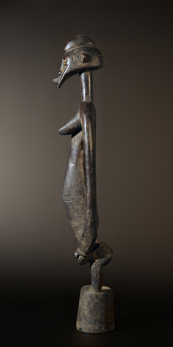 BSC00109