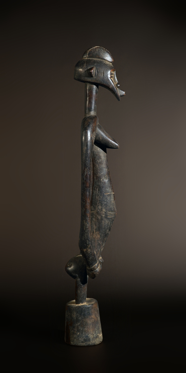 BSC00115