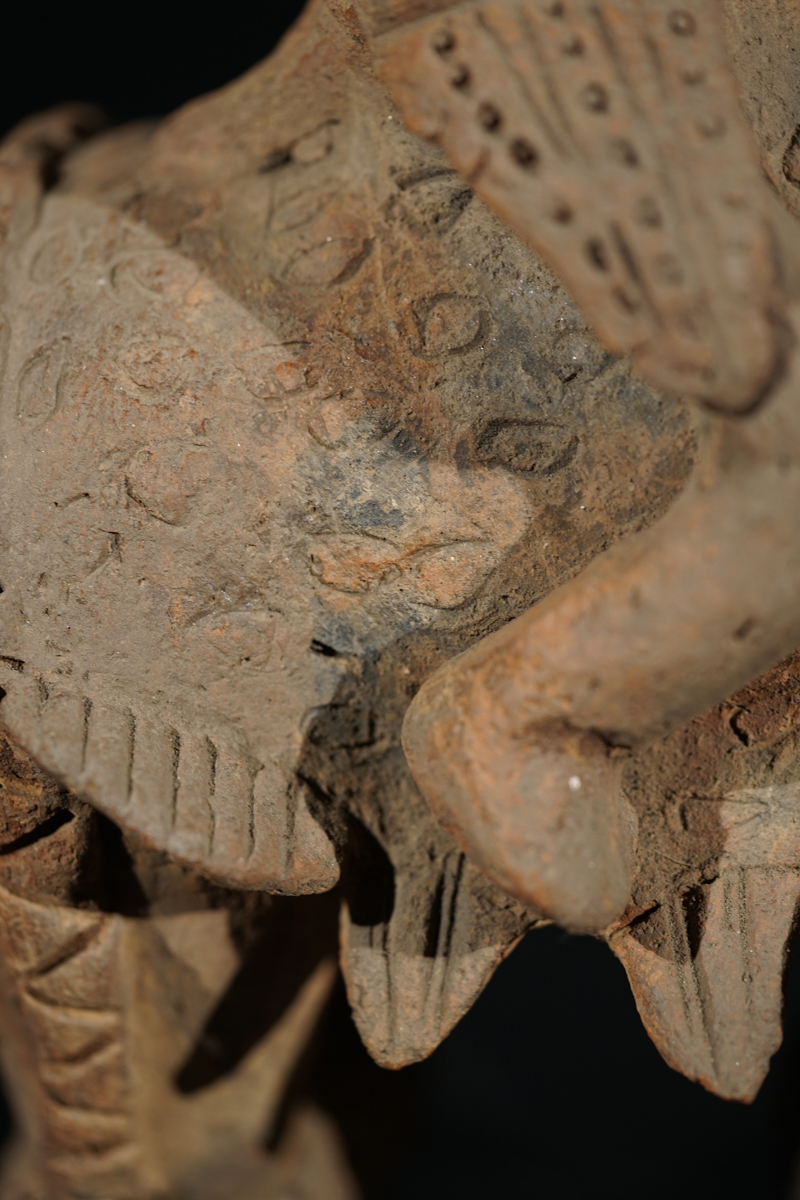 BSC02659