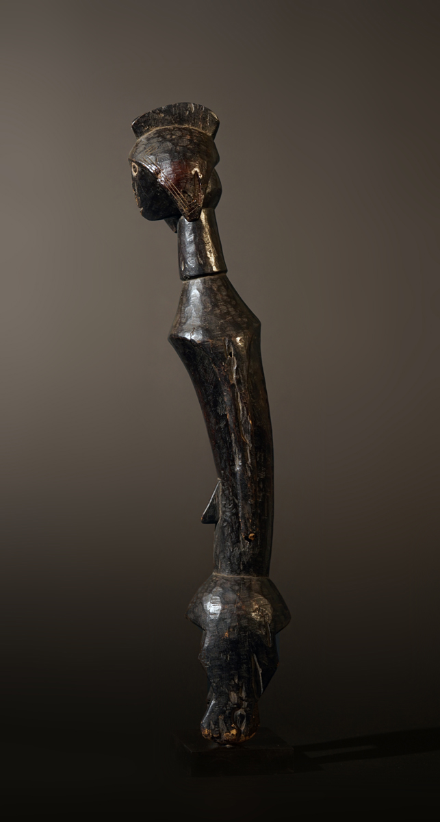 BSC08058