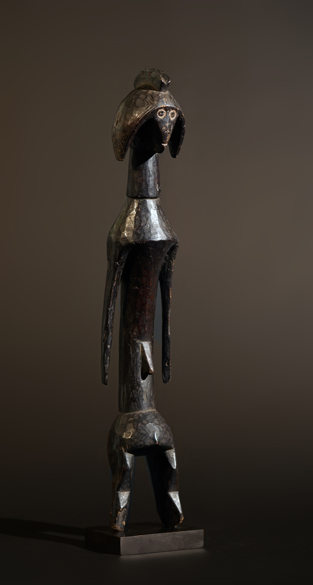 BSC08068
