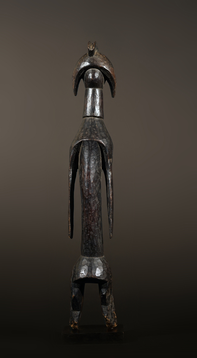 BSC08078