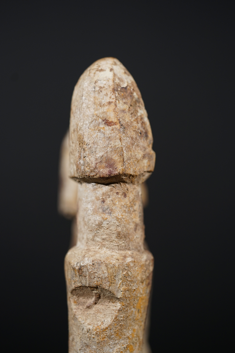 BSC06682