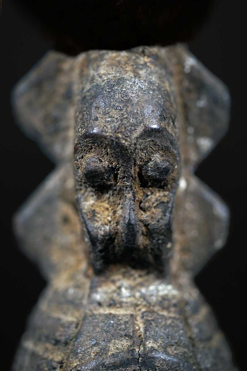 BSC07108