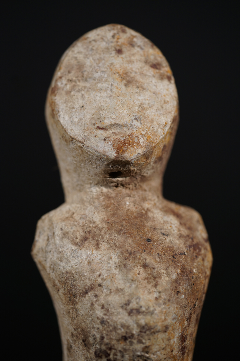 BSC07847