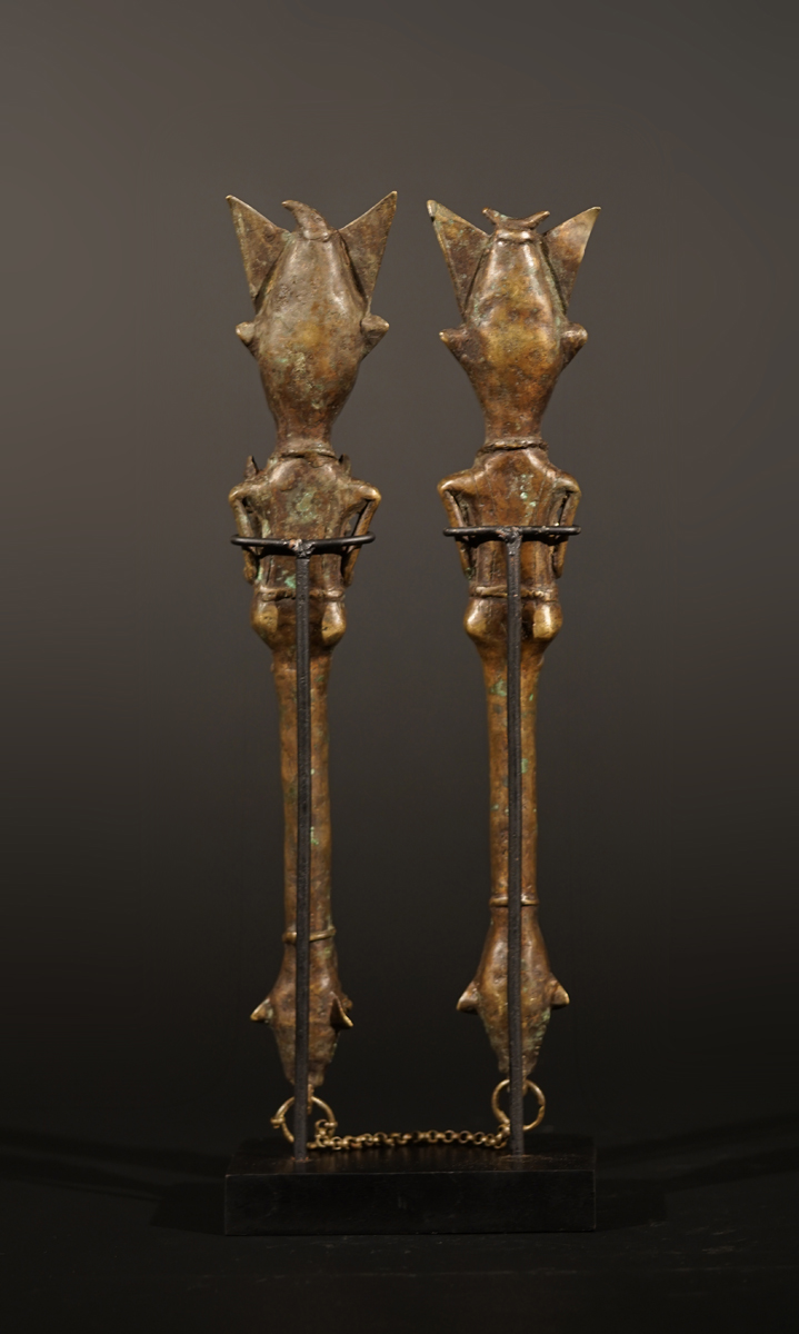 BSC09096