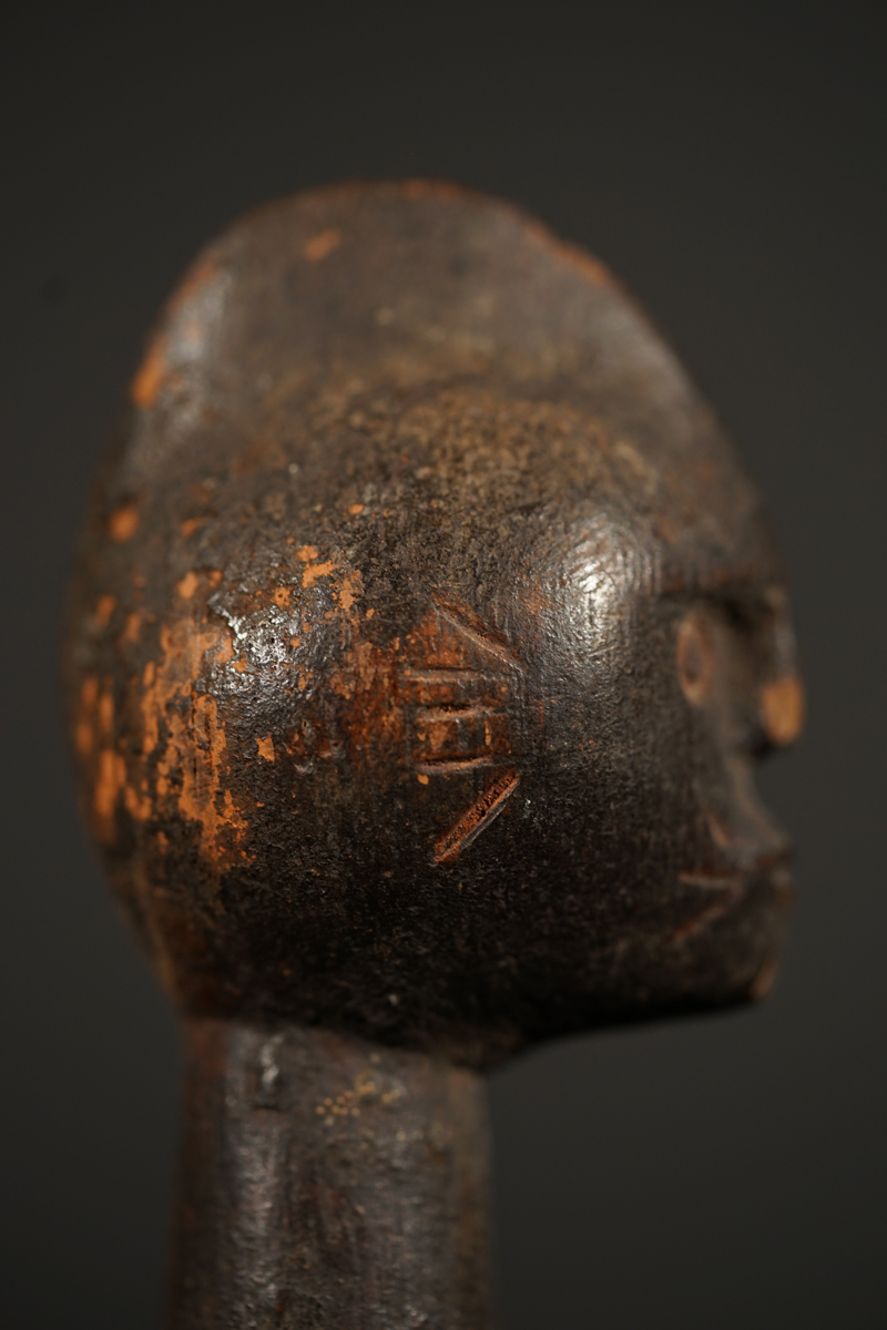 BSC09673