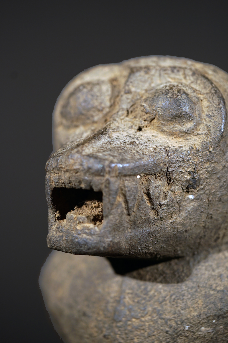 BSC01309