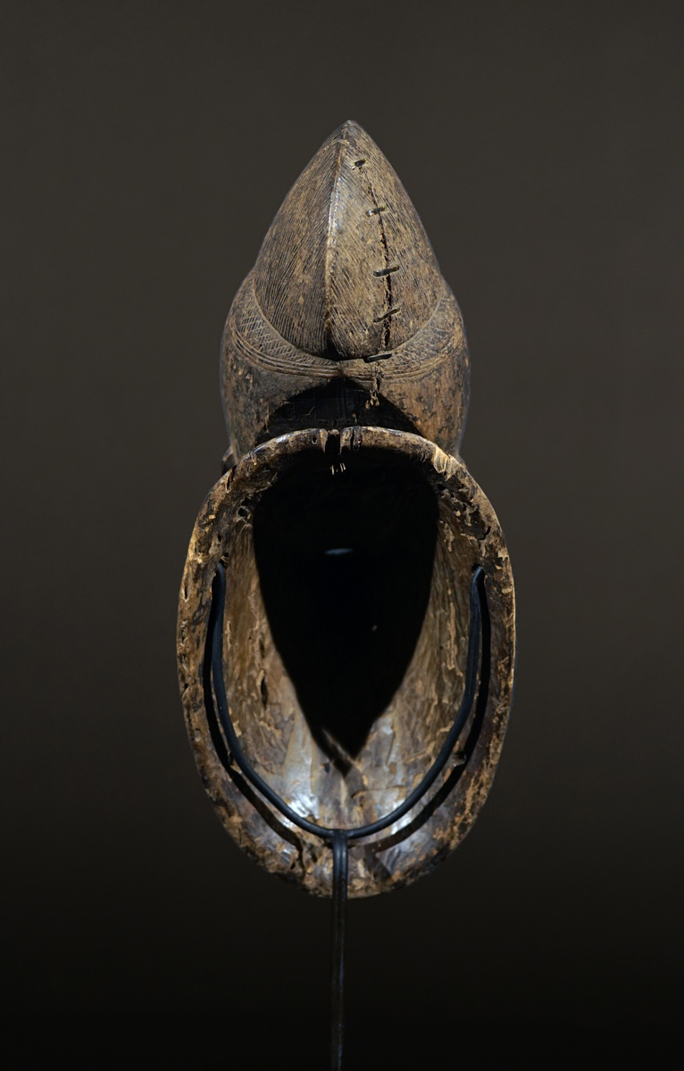 BSC01456