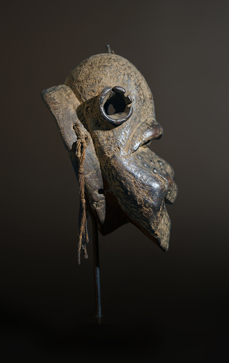 BSC01554