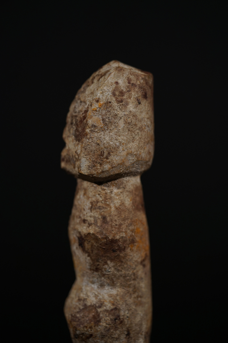 BSC09415