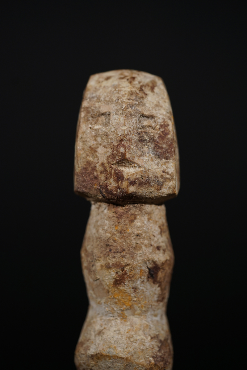 BSC09428