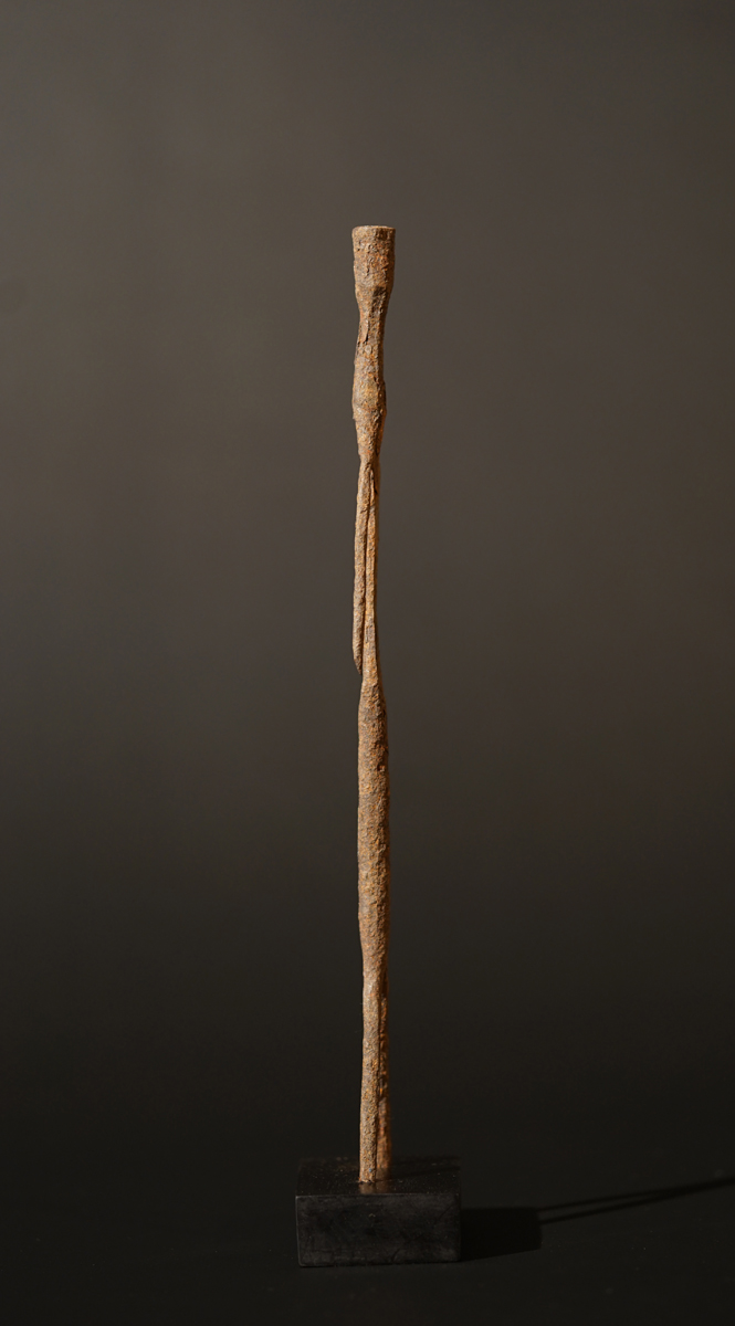 BSC09438