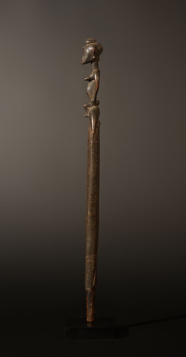 BSC04751