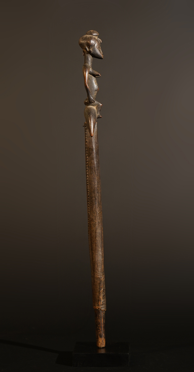 BSC04756