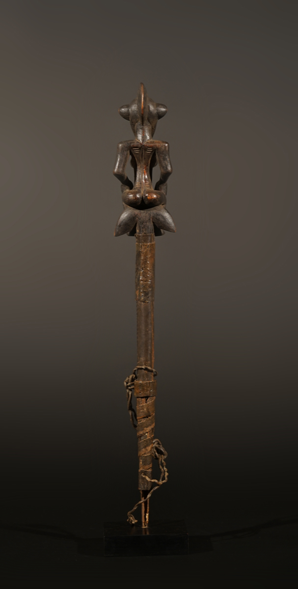 BSC04919