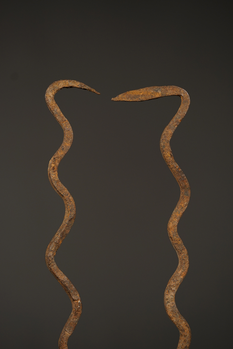 BSC05379