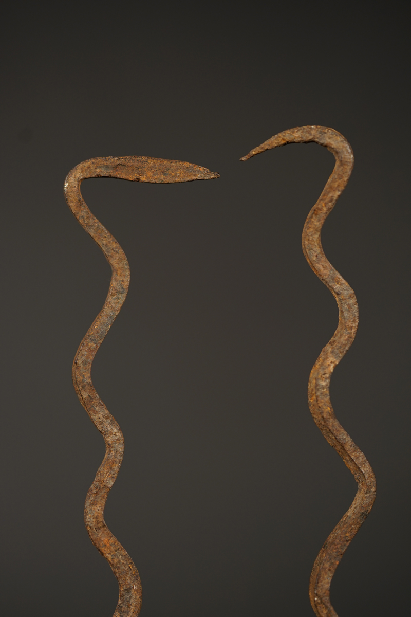 BSC05384