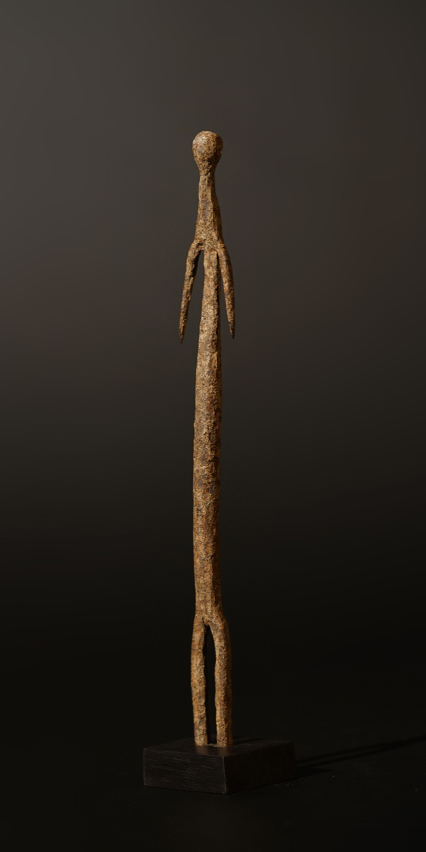 BSC04408
